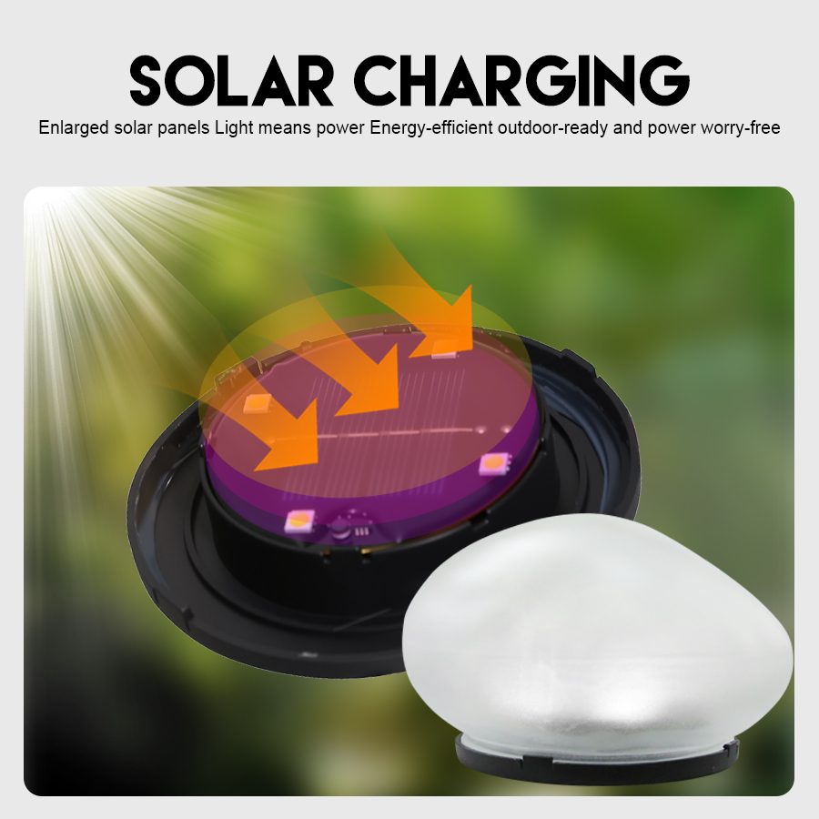 Solar Decorative Lamp Frosted  - Outdoor Lighting Company review and price