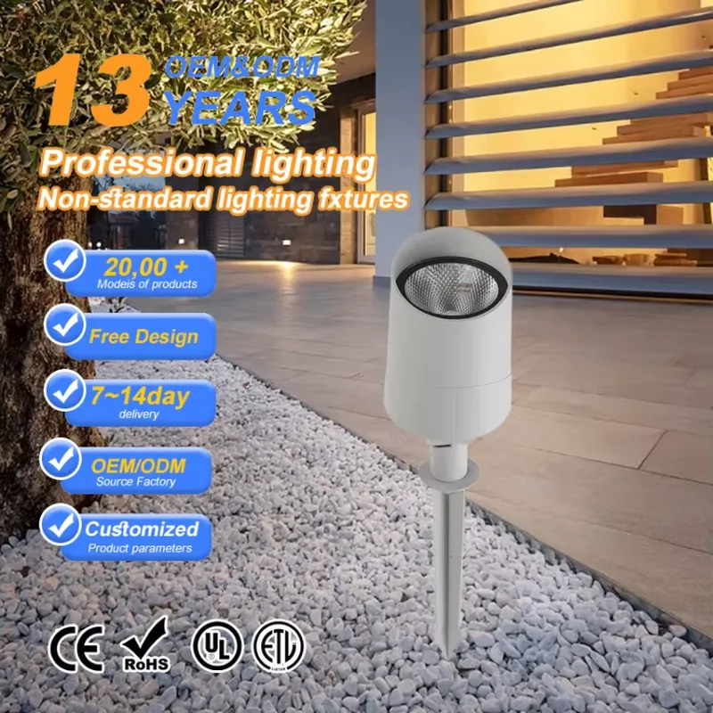 Most Popular 9W-40W COB Outdoo - Led Flood Light review and price